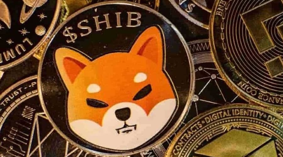 Shiba Inu is one of the most viewed cryptocurrencies in 2021, find out why